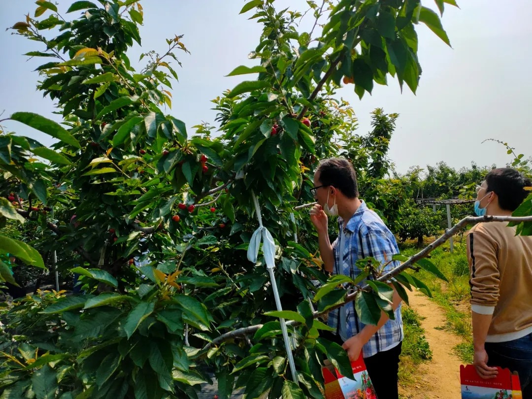 642.webp.jpg 642.webp.jpg