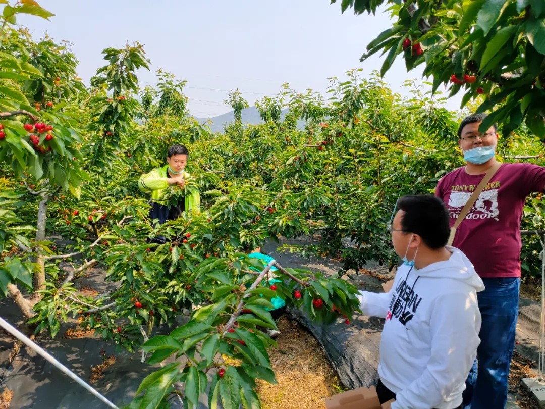 649.webp.jpg 649.webp.jpg