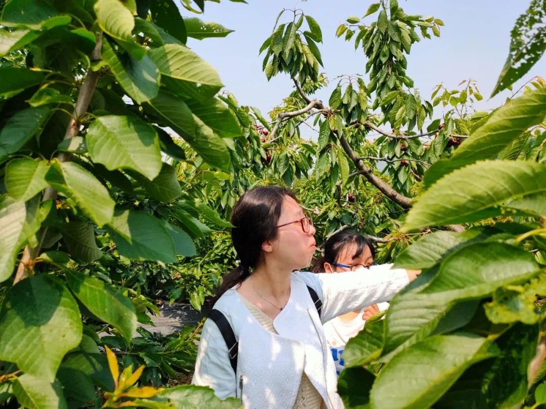 641.webp.jpg 641.webp.jpg